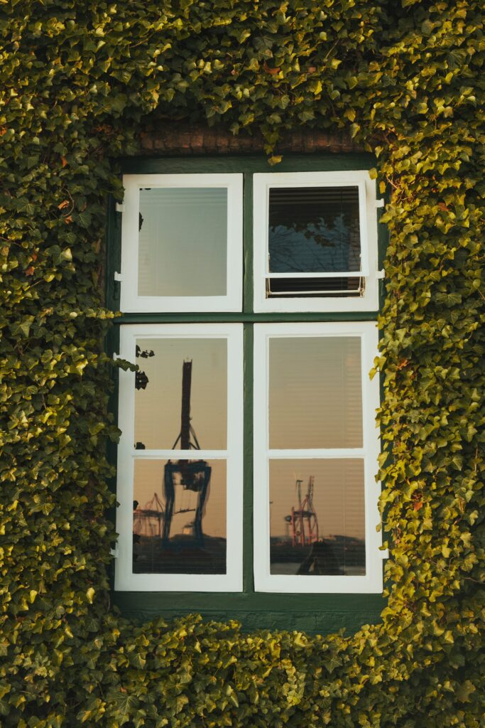 hero image of windows
